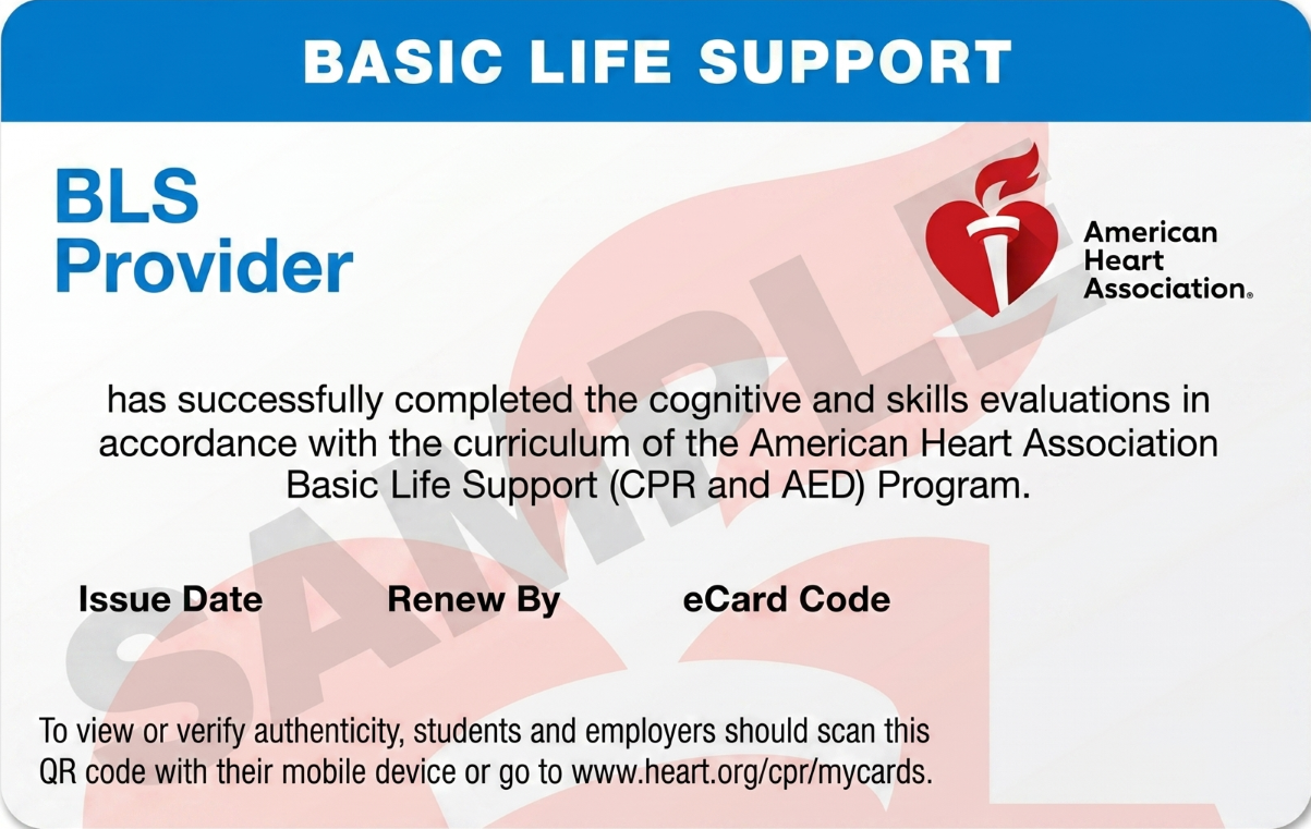 AHA BLS Provider Course in NJ | Same-Day Card ($79) — Active